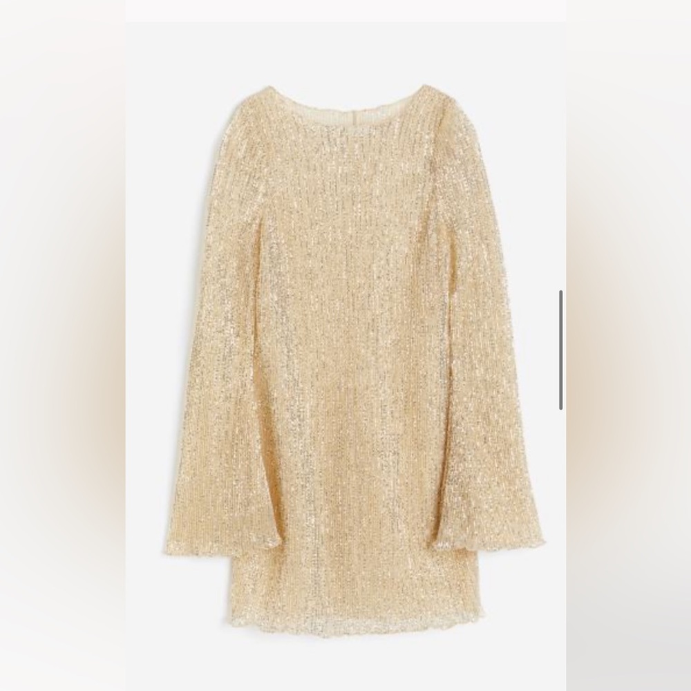 H&M Gold sheer sequined dress